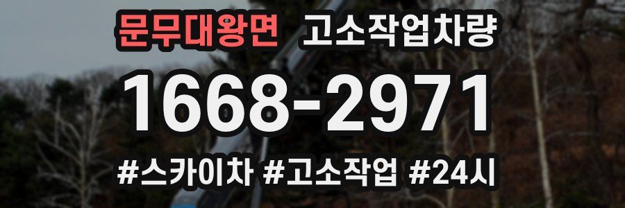 문무대왕면 고소작업차량