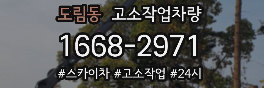 도림동 고소작업차량