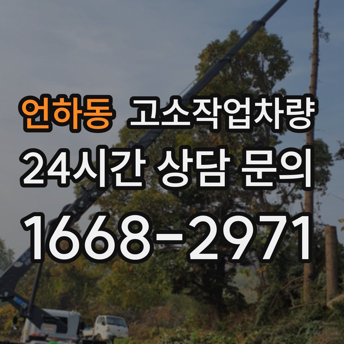 언하동 고소작업차량
