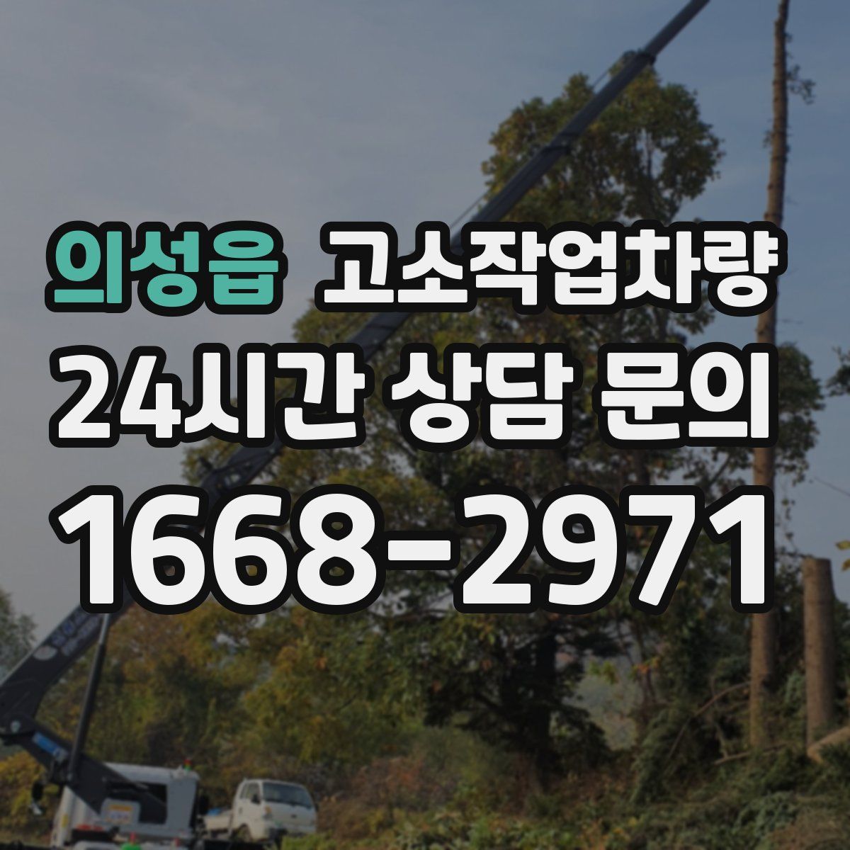 의성읍 고소작업차량