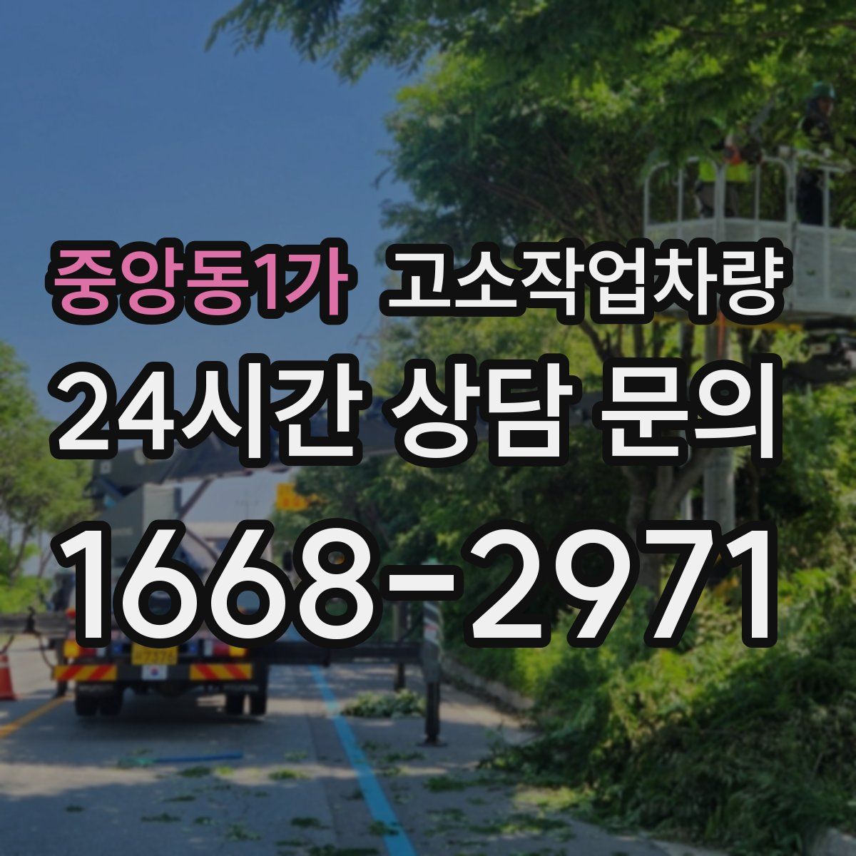 중앙동1가 고소작업차량