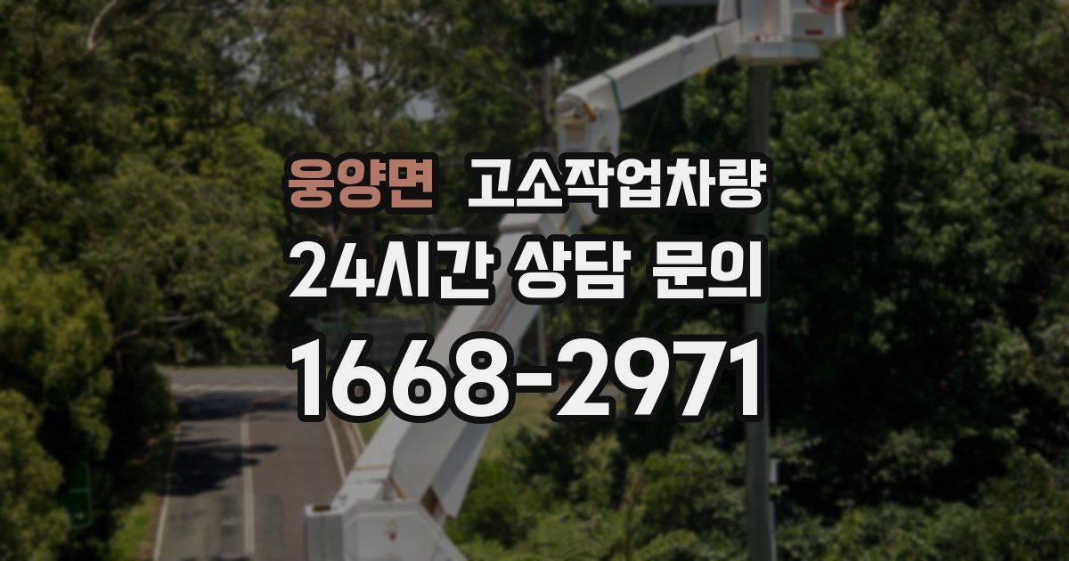 웅양면 고소작업차량