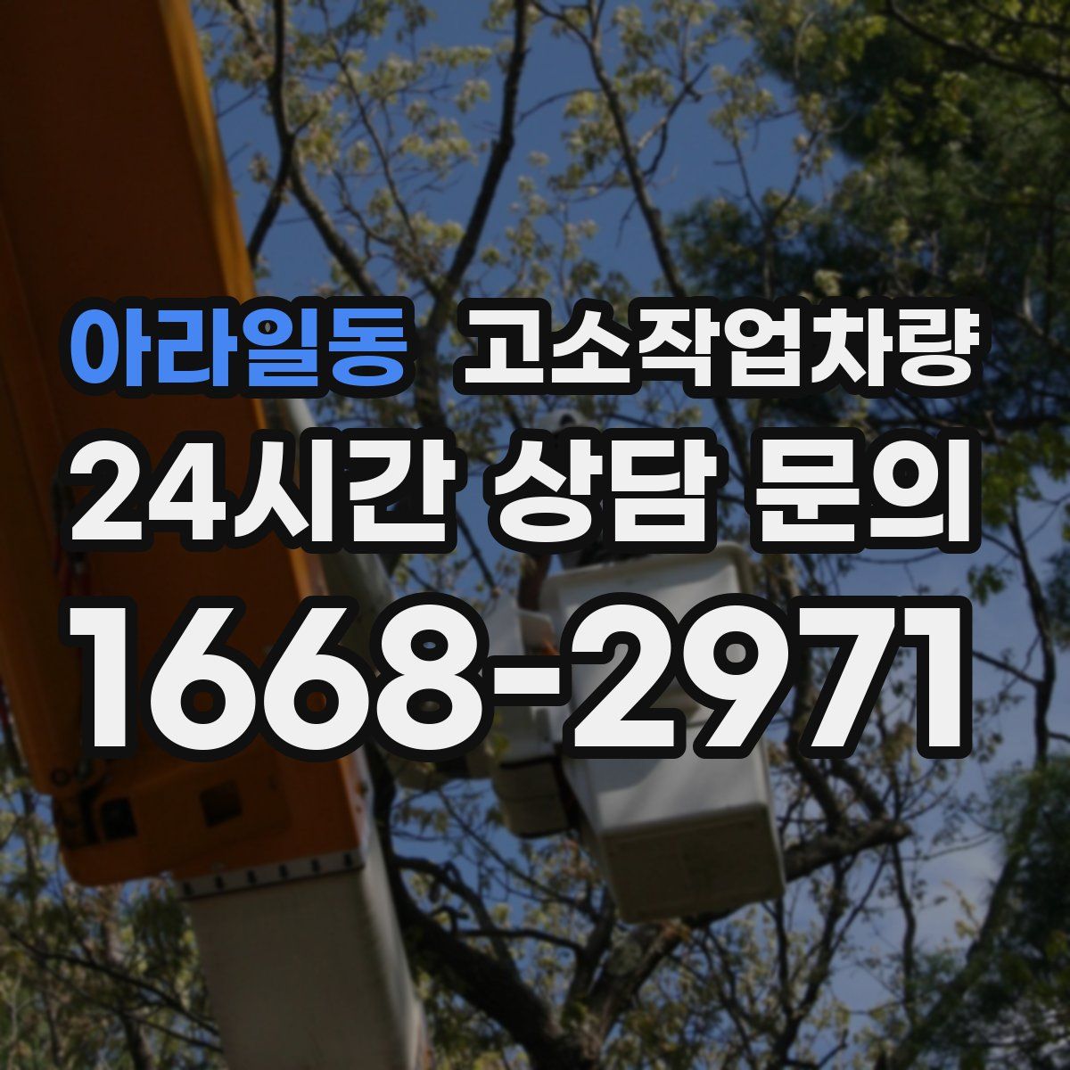 아라일동 고소작업차량