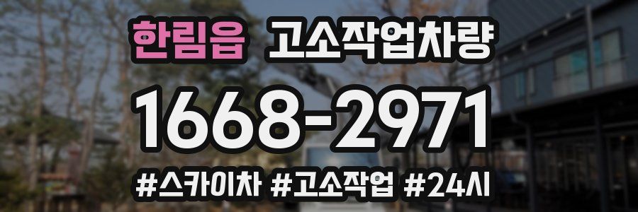 한림읍 고소작업차량