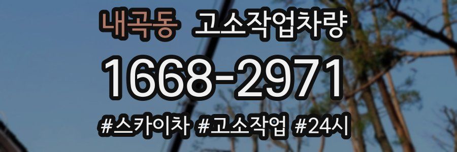 내곡동 고소작업차량
