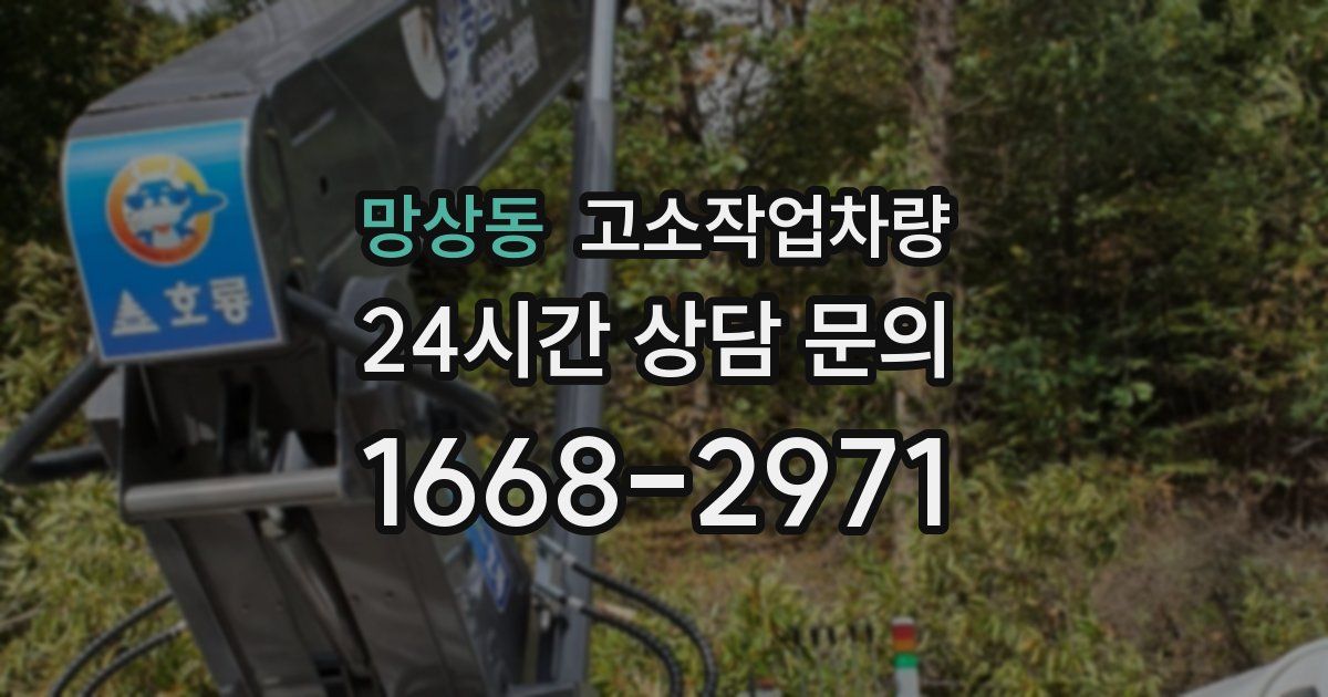망상동 고소작업차량