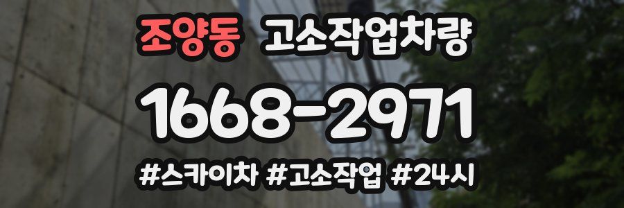 조양동 고소작업차량