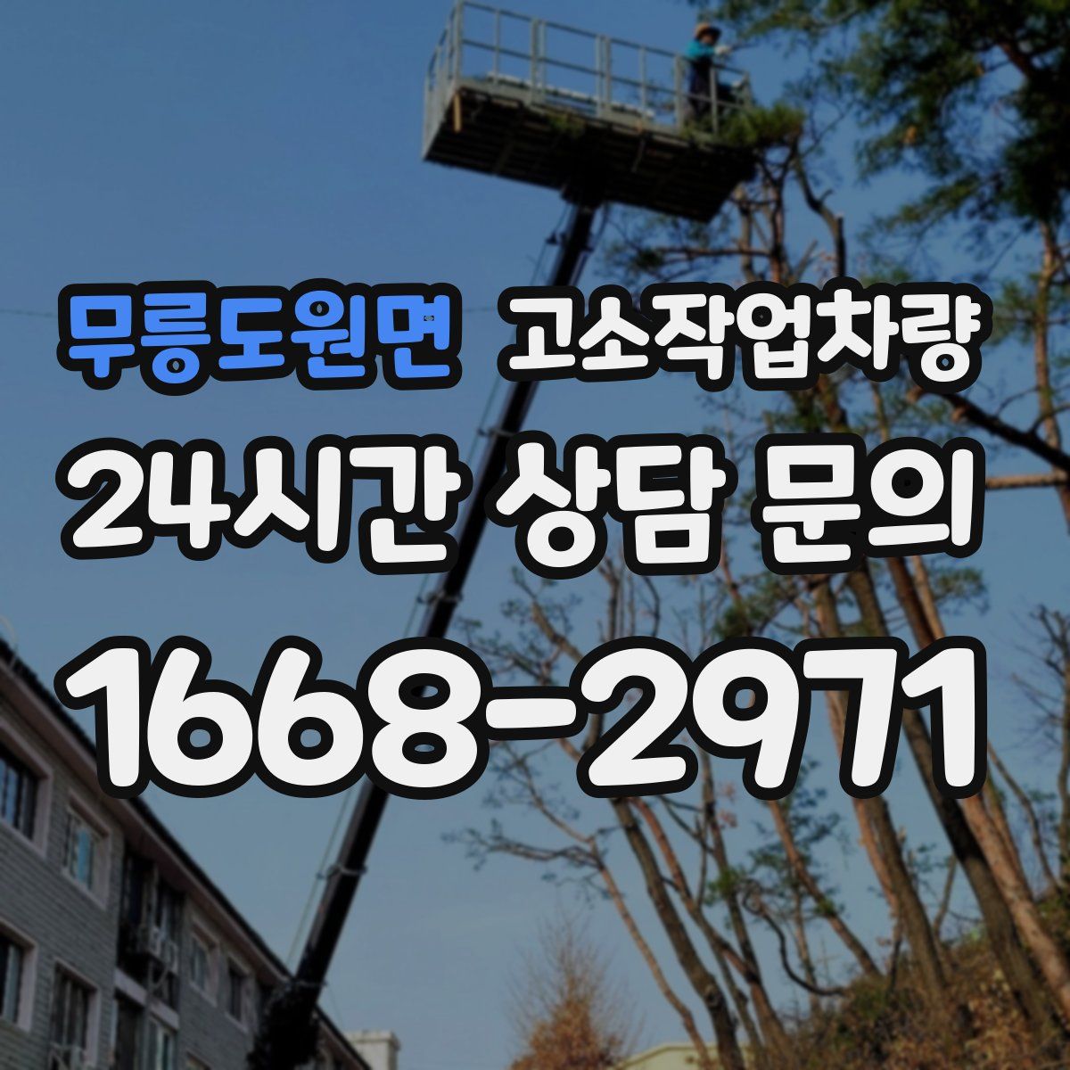 무릉도원면 고소작업차량
