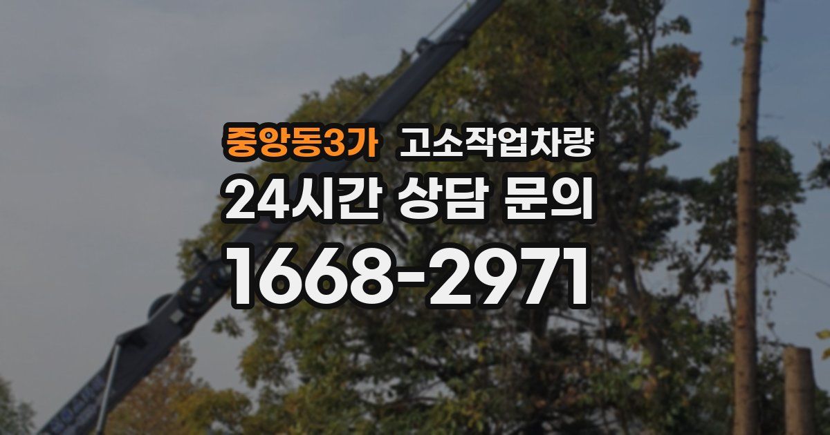 중앙동3가 고소작업차량