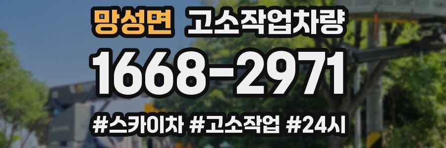 망성면 고소작업차량