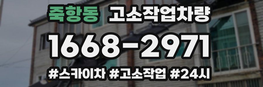 죽항동 고소작업차량