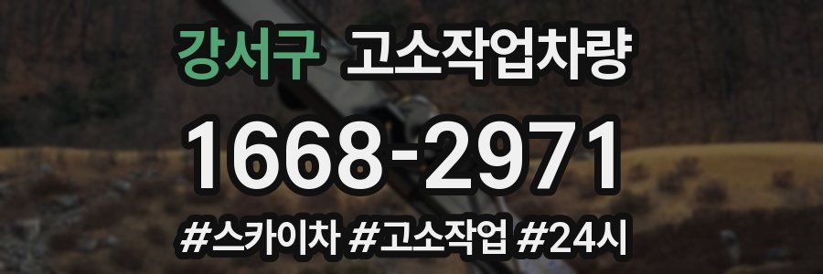 강서구 고소작업차량