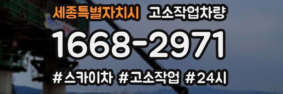 세종특별자치시 고소작업차량