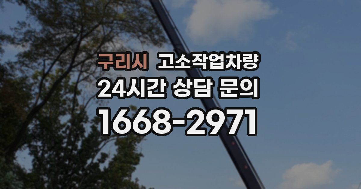 구리시 고소작업차량