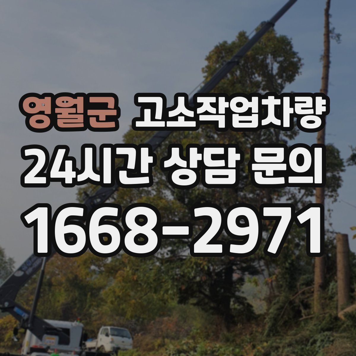 영월군 고소작업차량