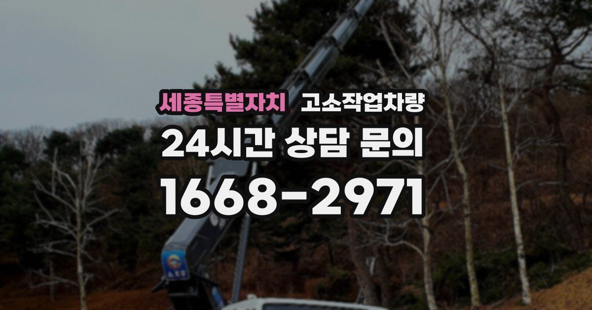 세종특별자치 고소작업차량