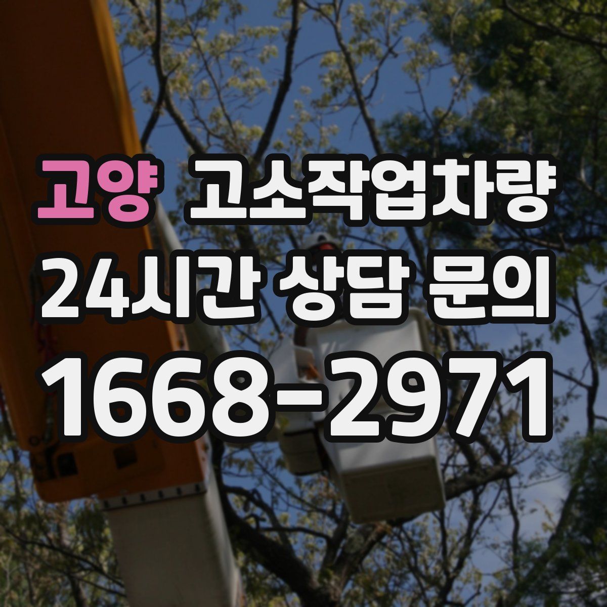 고양 고소작업차량