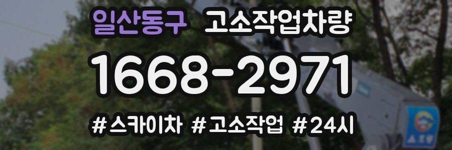 일산동구 고소작업차량