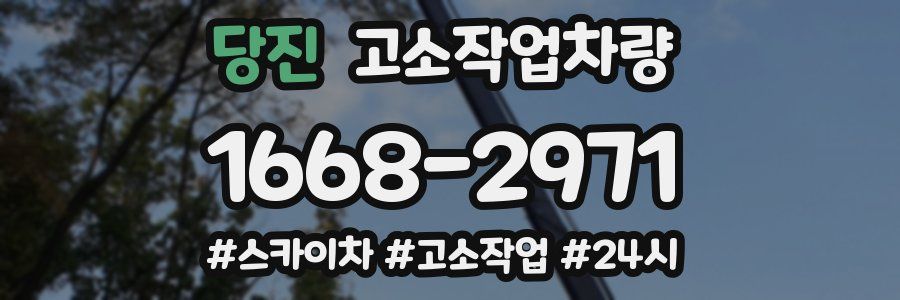당진 고소작업차량