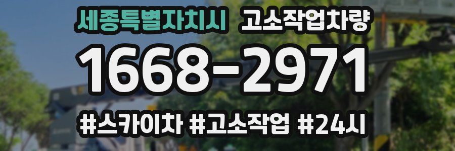 세종특별자치시 고소작업차량