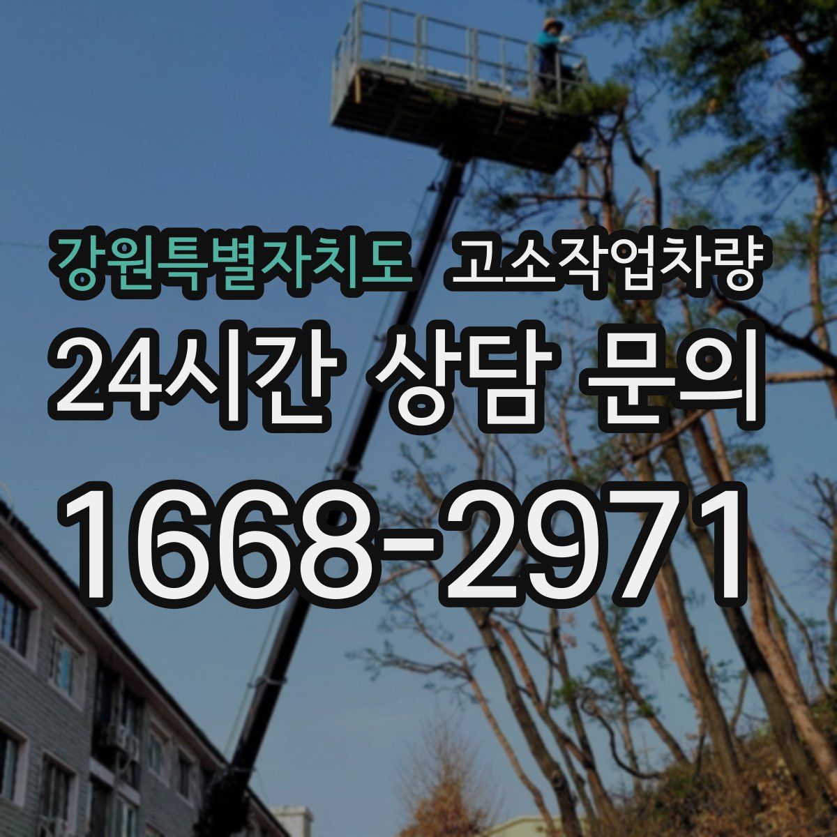강원특별자치도 고소작업차량
