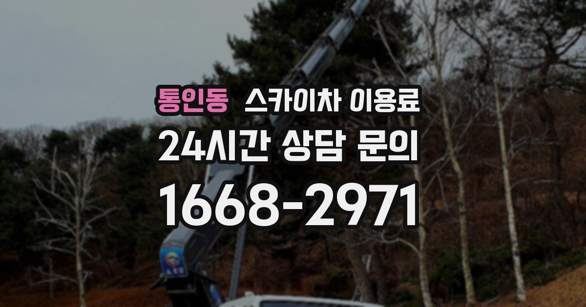 통인동 스카이차 이용료