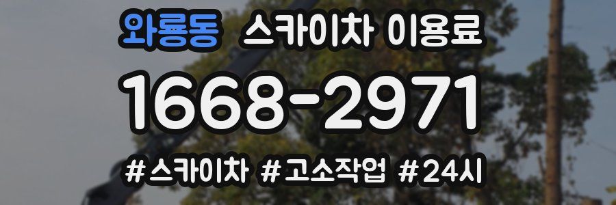 와룡동 스카이차 이용료