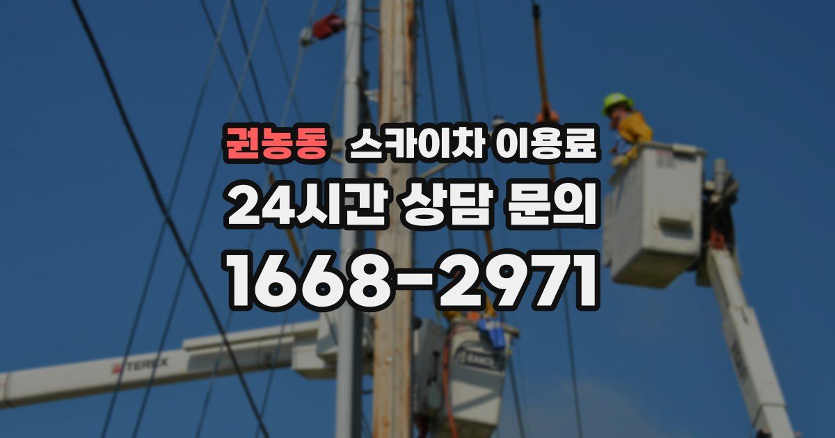 권농동 스카이차 이용료