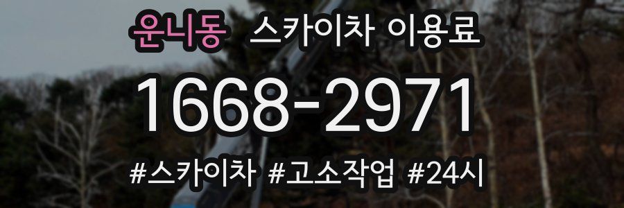 운니동 스카이차 이용료