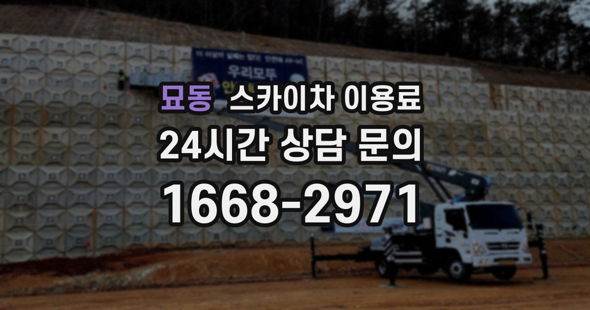 묘동 스카이차 이용료