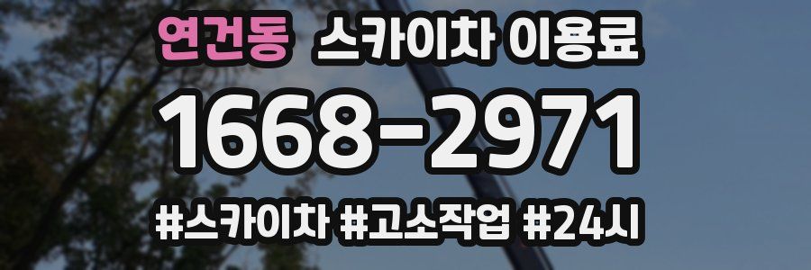 연건동 스카이차 이용료