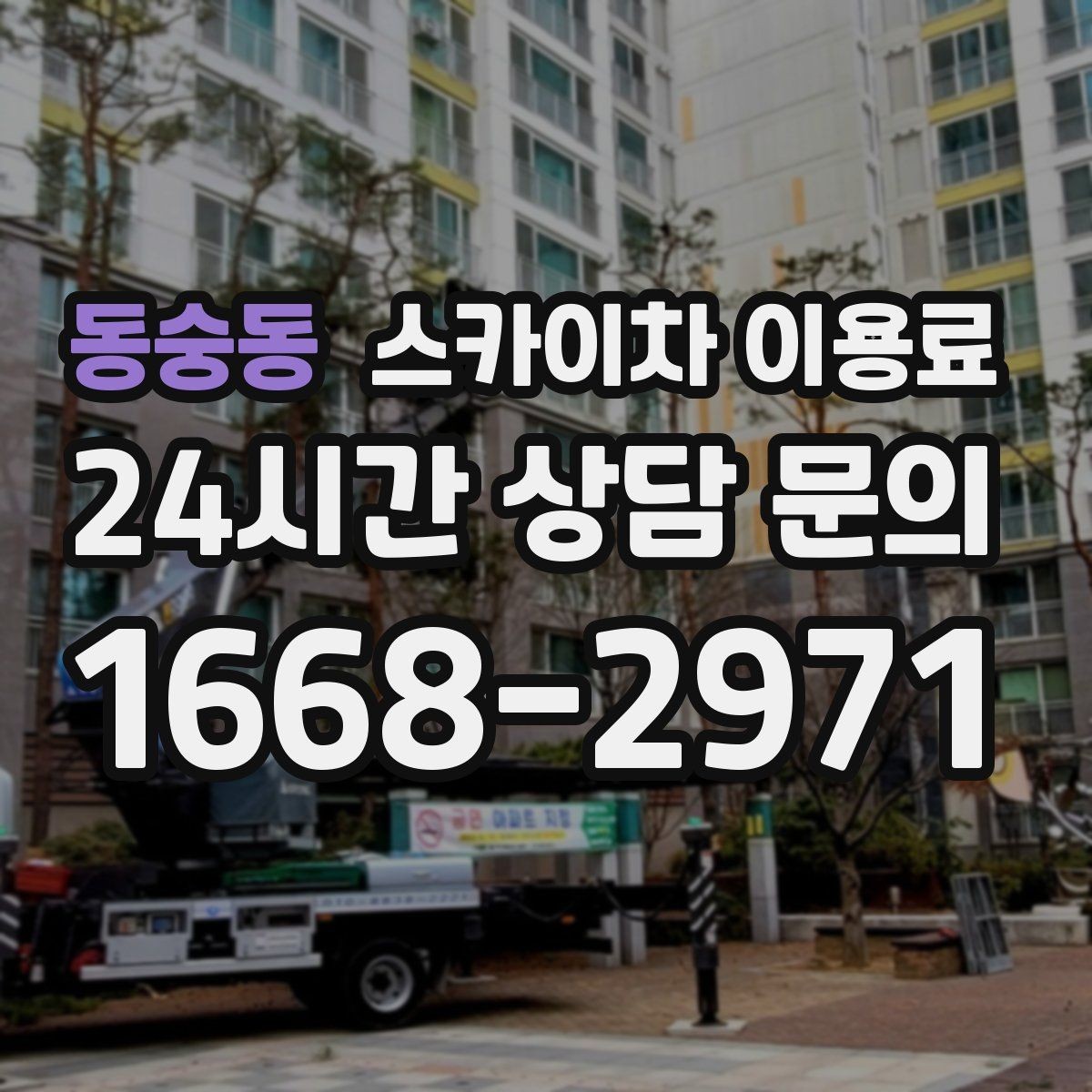 동숭동 스카이차 이용료 비교 전에 살펴야 할 조건