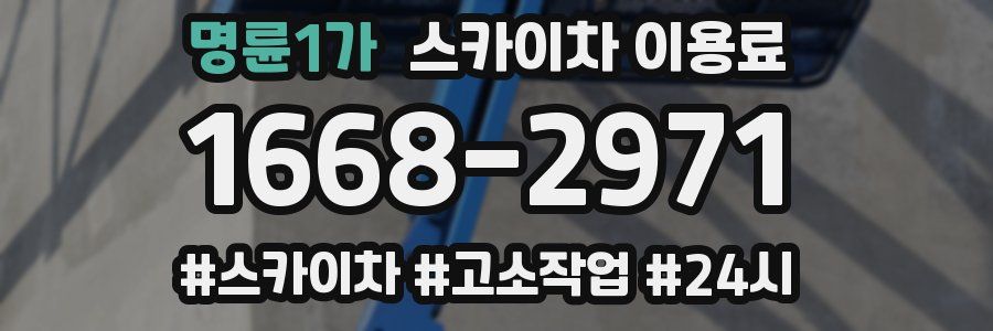명륜1가 스카이차 이용료