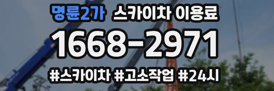 명륜2가 스카이차 이용료
