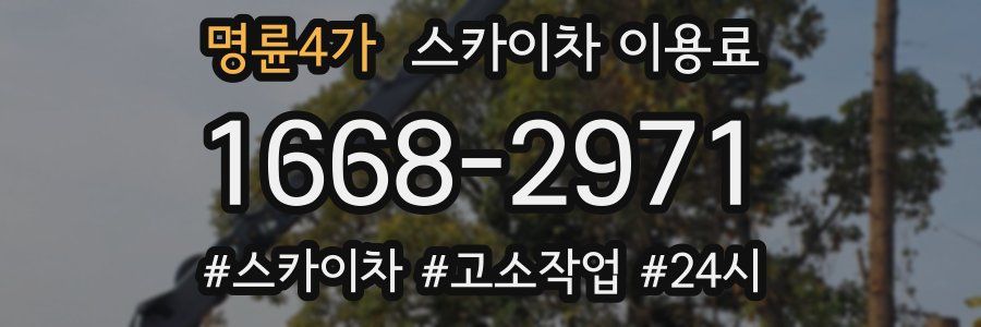 명륜4가 스카이차 이용료