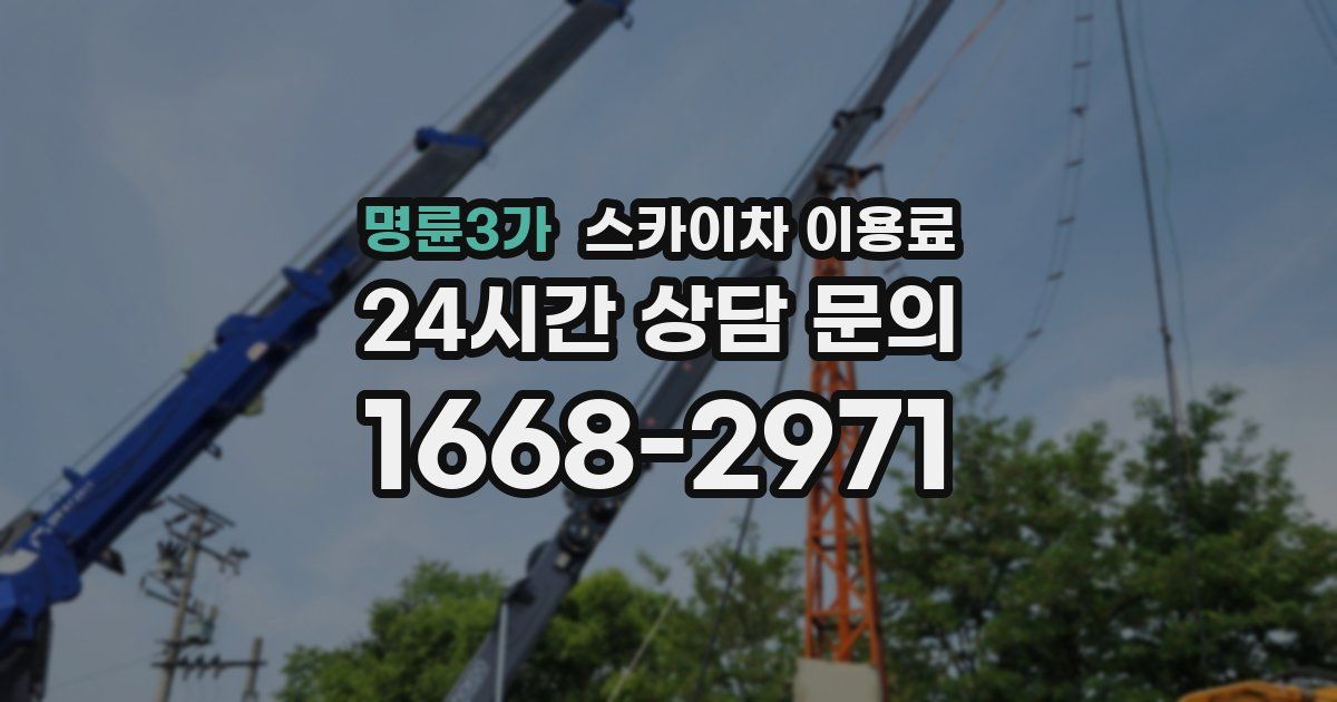 명륜3가 스카이차 이용료