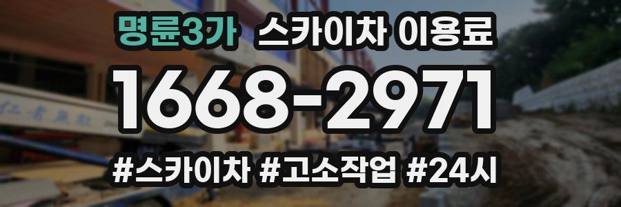 명륜3가 스카이차 이용료