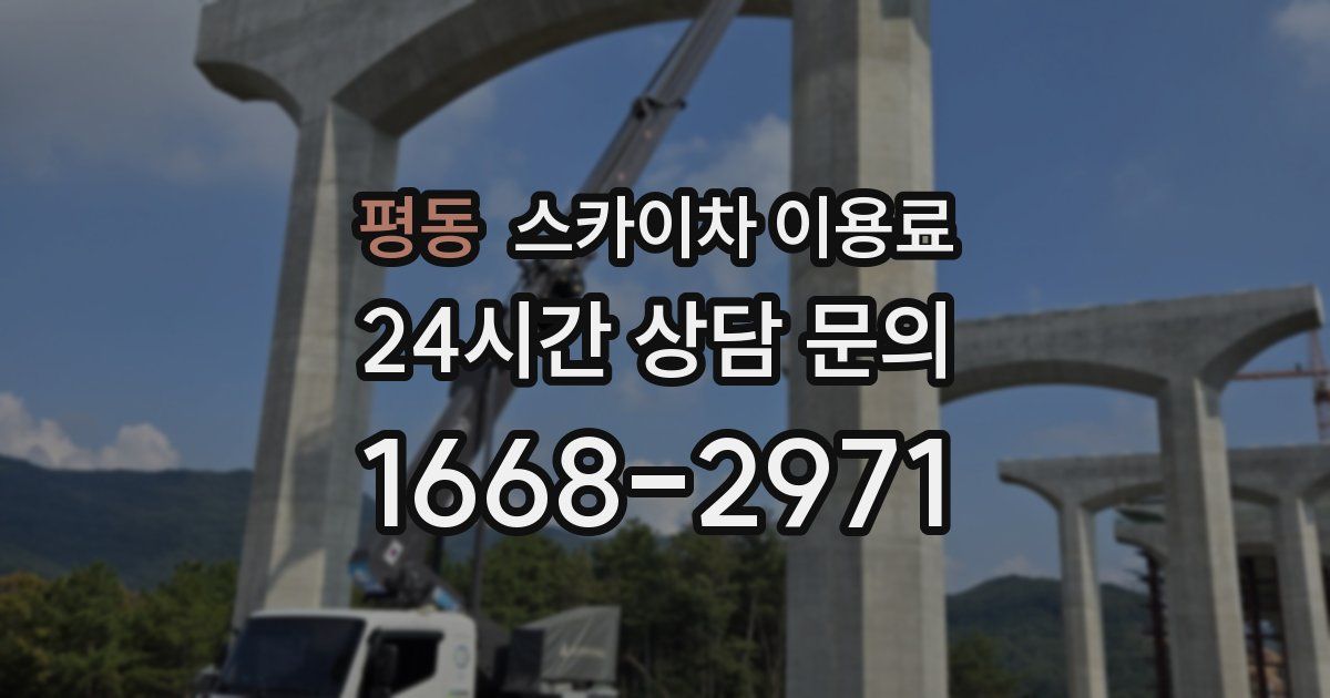 평동 스카이차 이용료