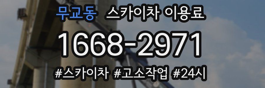 무교동 스카이차 이용료