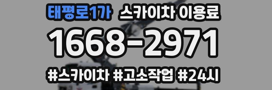 태평로1가 스카이차 이용료