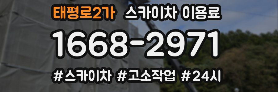 태평로2가 스카이차 이용료