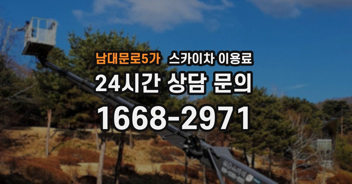 남대문로5가 스카이차 이용료