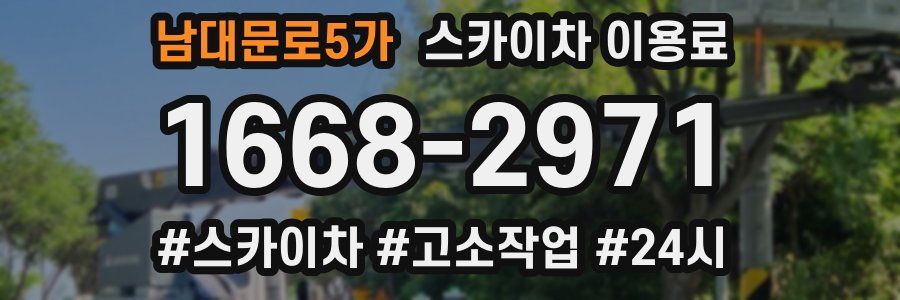남대문로5가 스카이차 이용료