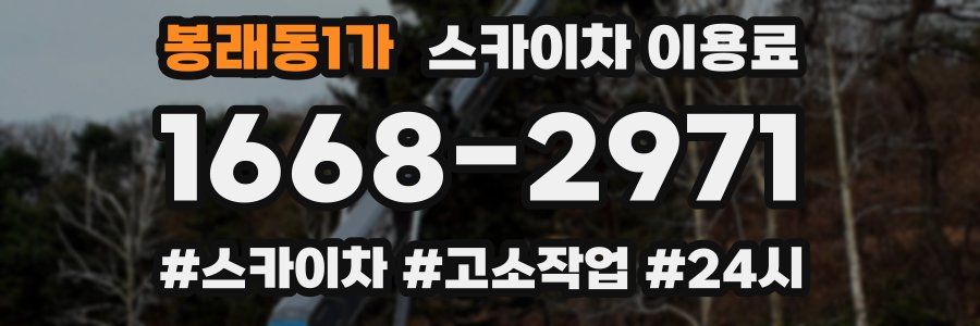 봉래동1가 스카이차 이용료
