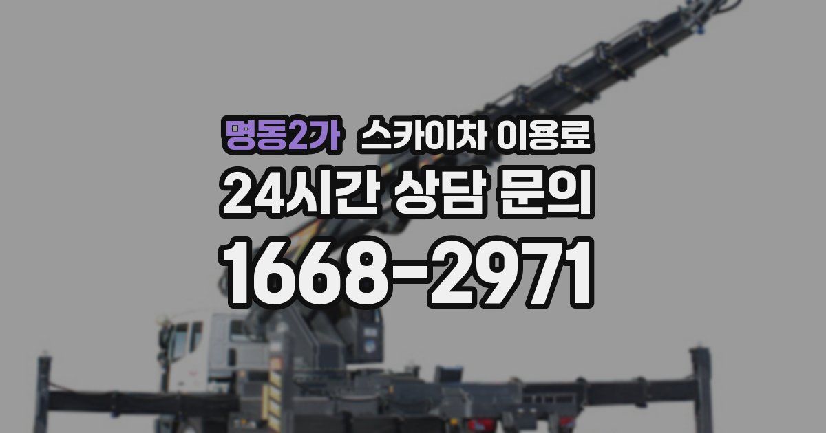 명동2가 스카이차 이용료