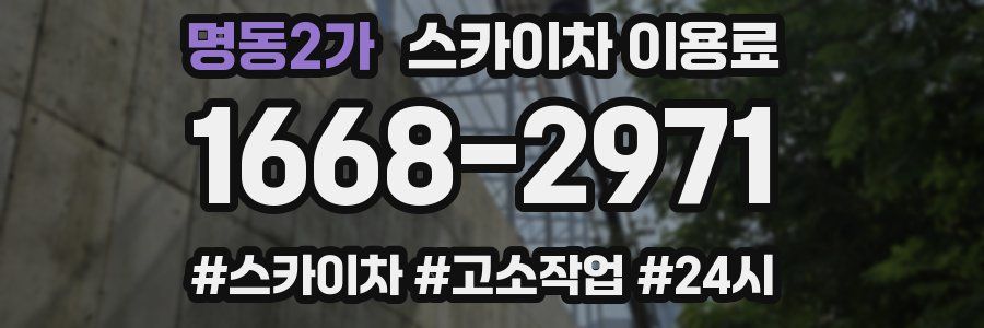 명동2가 스카이차 이용료