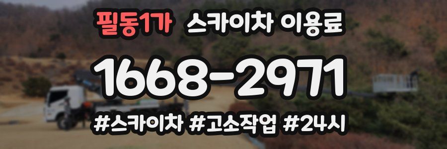 필동1가 스카이차 이용료