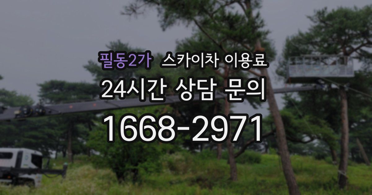 필동2가 스카이차 이용료
