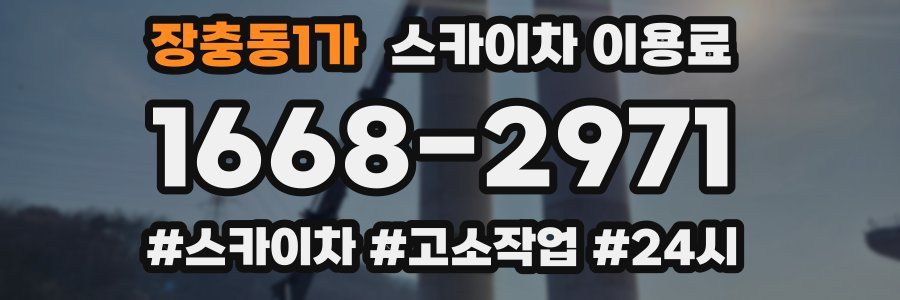 장충동1가 스카이차 이용료