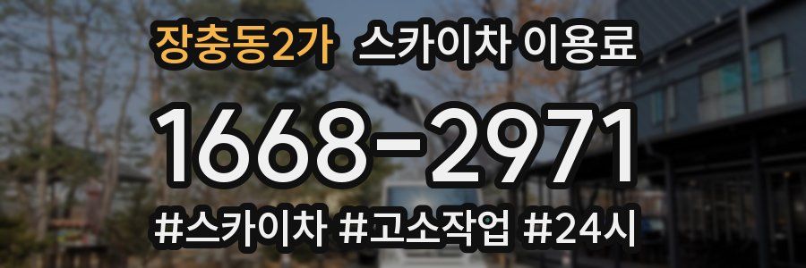 장충동2가 스카이차 이용료